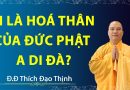 Vì Sao Thiện Đạo Đại Sư Được Gọi Là Hóa Thân Của Đức Phật A Di Đà ?