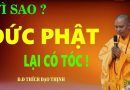Vì Sao Xuất Gia Lại Phải Cạo Tóc  Tại Sao Đức Phật Lại Có Tóc