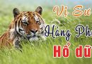 Vị Sư Hàng Phục Hổ Dữ – Phát Tâm Hành Bồ Tát Đạo Cầu Nguyện Cho Chúng Sinh L Đ.Đ Thích Đạo Thịnh