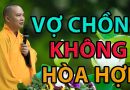 Vợ Chồng Không Hòa Thuận Thì Phải Làm Sao ? Đđ.Thích Đạo Thịnh