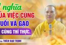 Ý Nghĩa Của Việc Cúng Muối Và Gạo Khi Cúng Thí Thực | Thầy Thích Đạo Thịnh