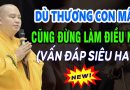 (vấn đáp siêu hay) – Dù Yêu Thương Con Cái Mấy Cũng Đừng Làm Điều Này | Thầy Thích Đạo Thịnh